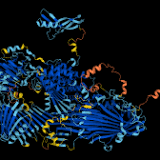DeepMind AI predicts the structure of nearly every known protein