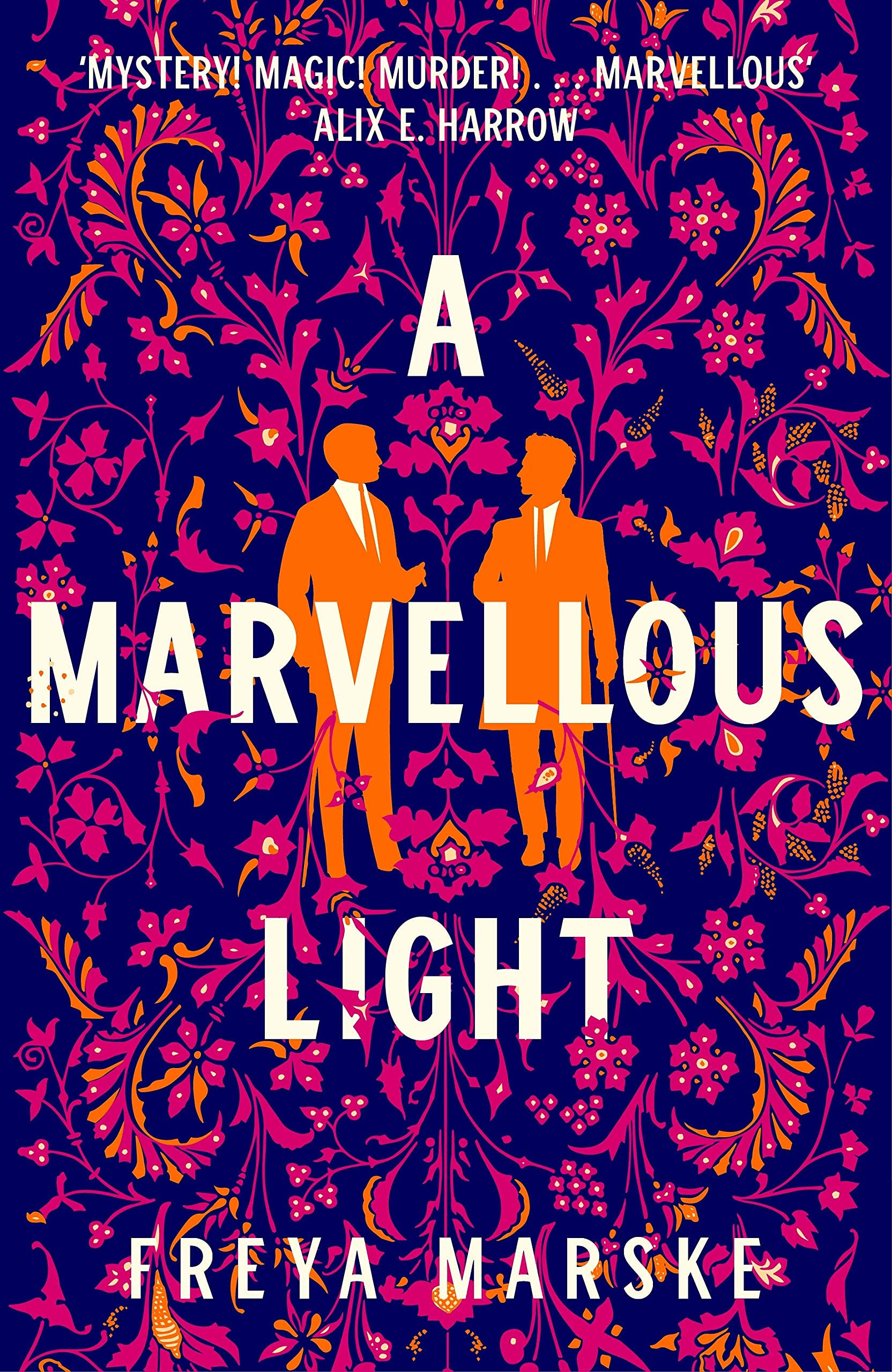 A Marvellous Light [Book]