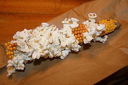 Two Bags Uncle Osgood's Popcorn On The COB