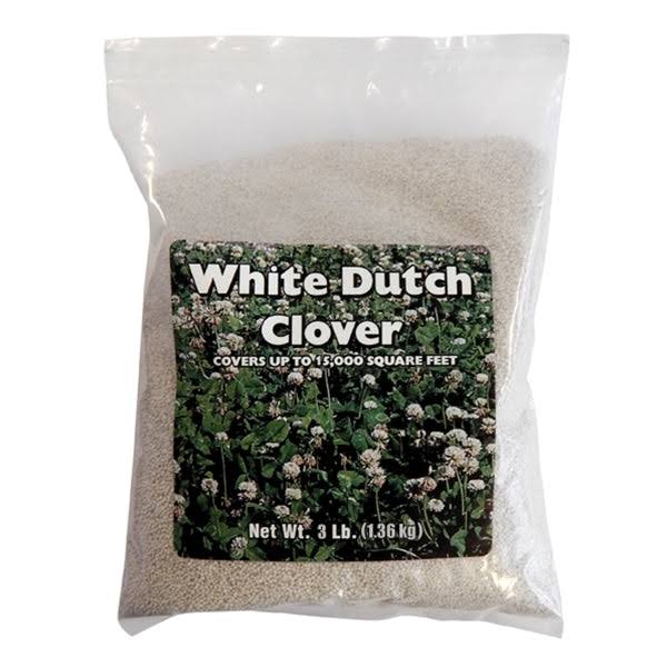 Agway White Clover 1 lb Bag | Mackey's