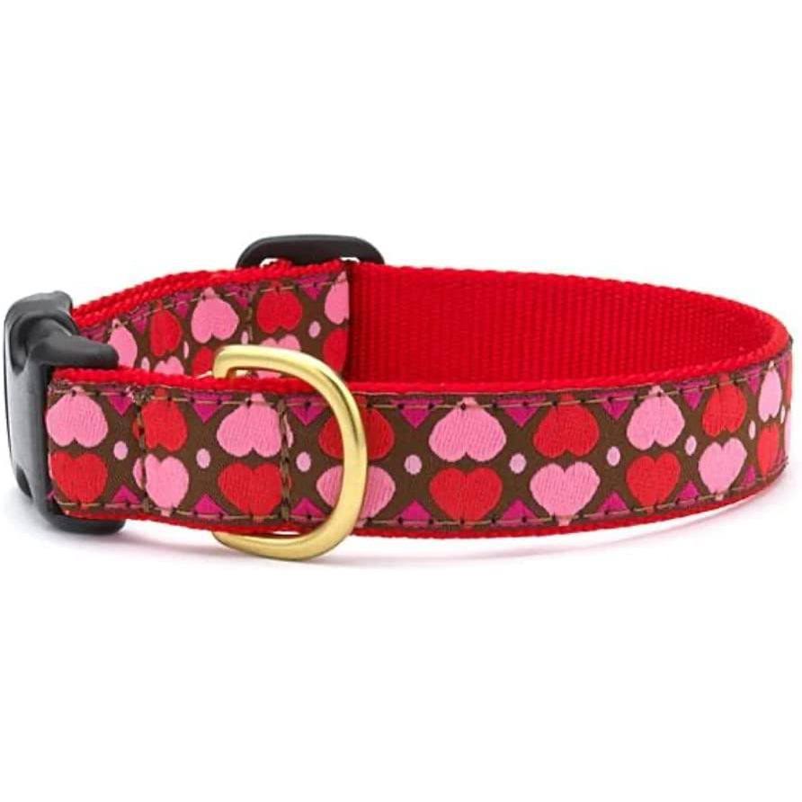Up Country All Hearts Dog Collar - Large