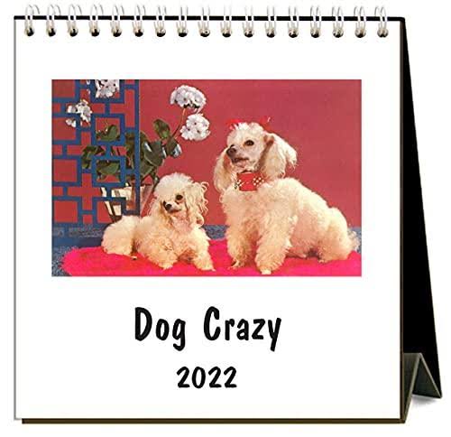 Dog Crazy - 2022 Desk Calendar