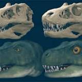 Large predatory dinosaurs, such as the T. rex, evolved different eye socket shapes to allow for stronger bites.