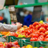 No Sun, No Problem: CRISPR'd Tomatoes Produce Vitamin D