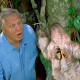 7 of the best David Attenborough documentaries and where to watch them