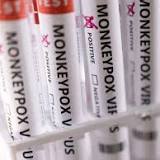 World Health Network (WHN) declares monkeypox a pandemic