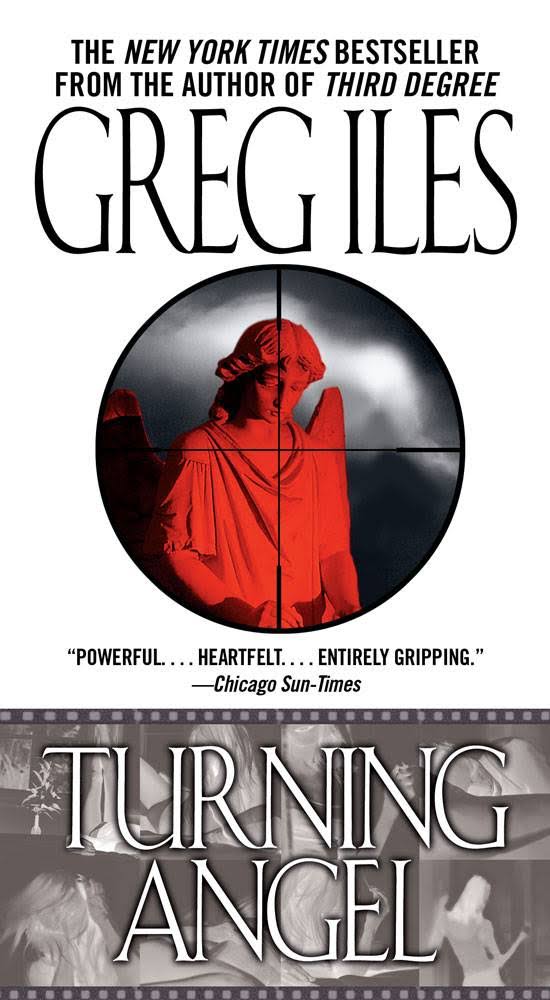 Turning Angel: A Novel [Book]