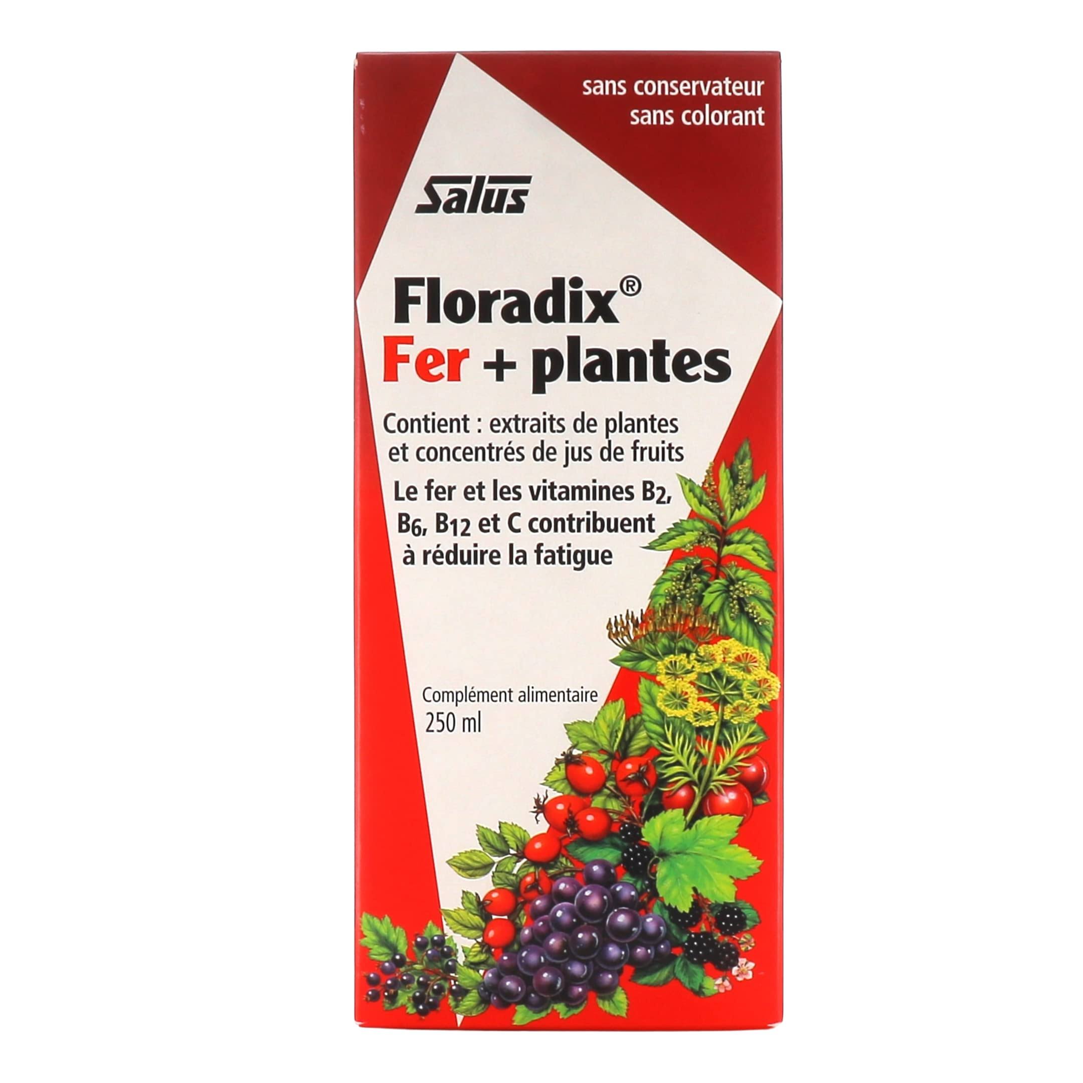 Floradix, 84 Tablets
