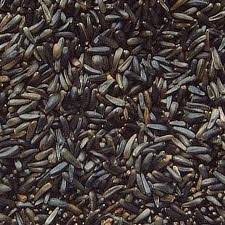 Copdock Mill Niger Seed 800g