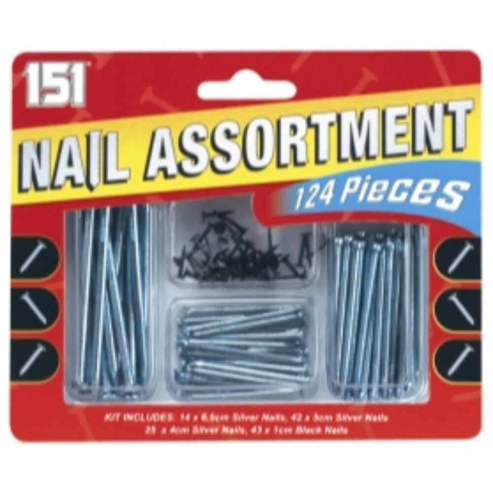Metal Nail Assortment Pack - 1cm, 4cm, 5cm and 6.5cm