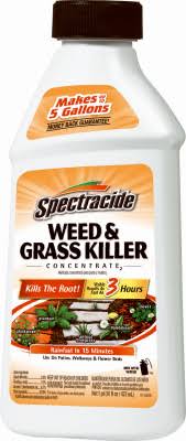 Spectracide Weed and Grass Killer Concentrate - 16oz