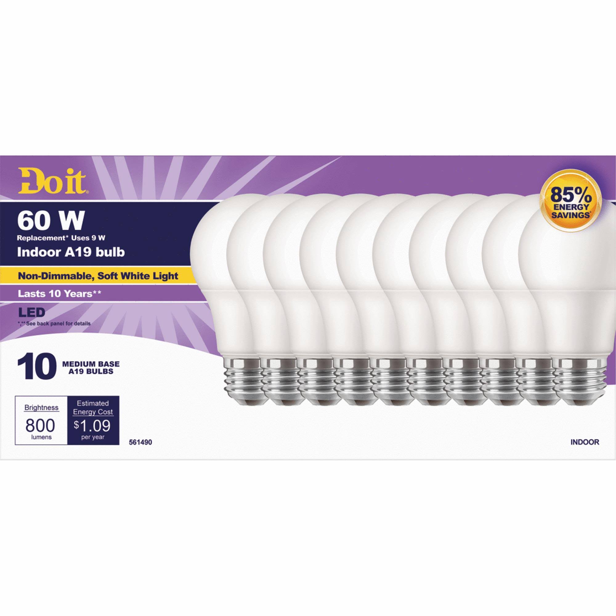 Do It 60W Equivalent Daylight A19 Medium LED Light Bulb (10-Pack)