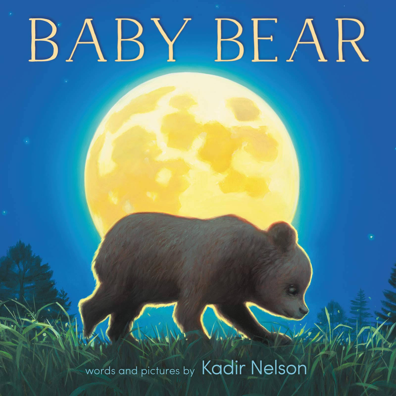 Baby Bear Board Book [Book]