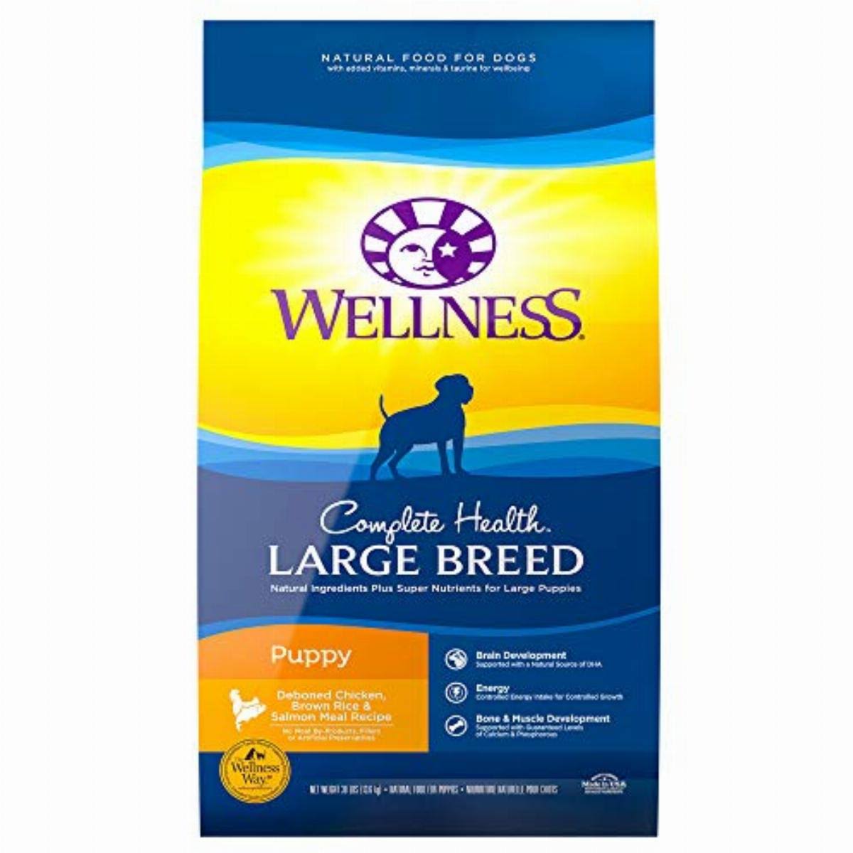 Wellness Complete Health Natural Dry Large Breed Puppy Food - Chicken, Salmon and Rice, 30lb