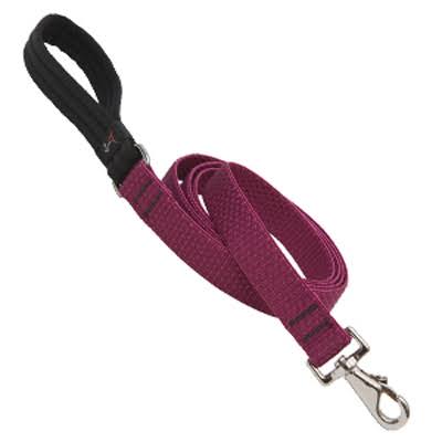 Eco Dog Leash, 1" X 6', Lupine, 36959