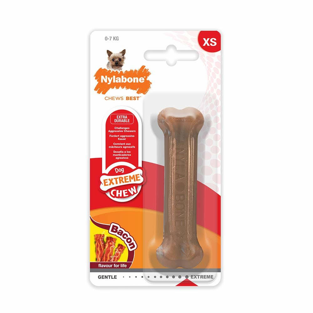 Nylabone Durable Bone Dog Treat - Bacon, Petite