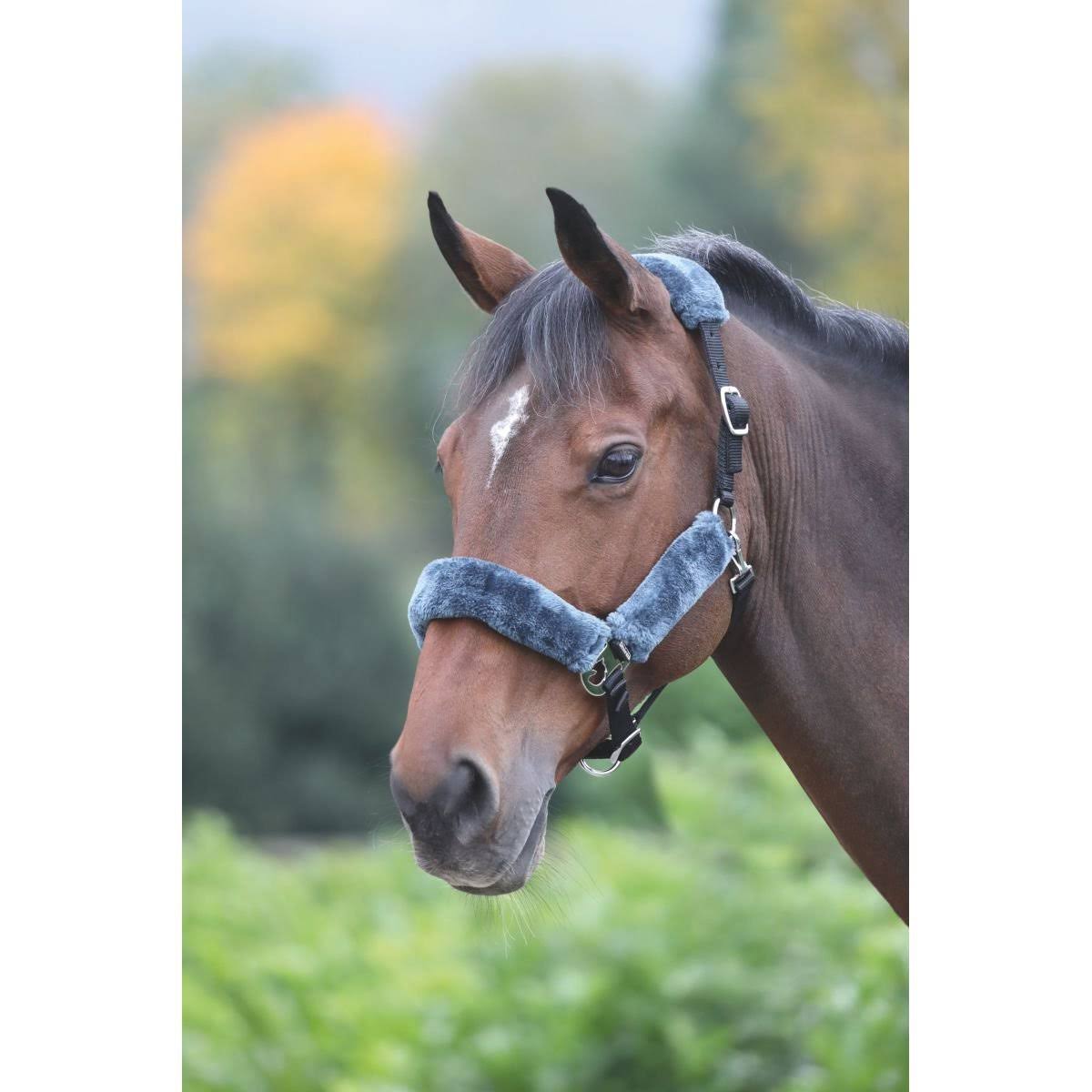 Shires Fleece Lined Lunge Cavesson 428 