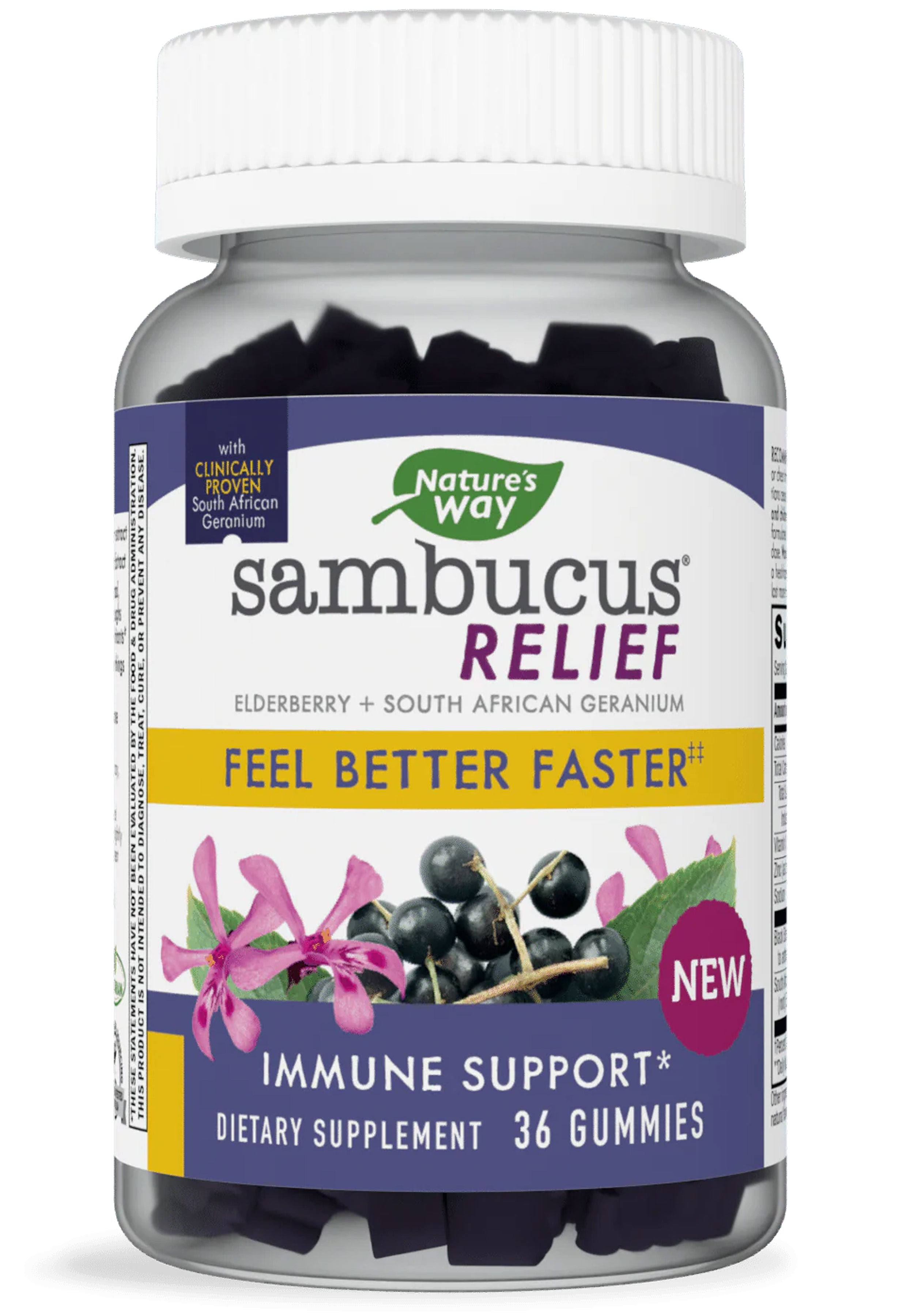 Sambucus Relief Immune Support Nature S Way