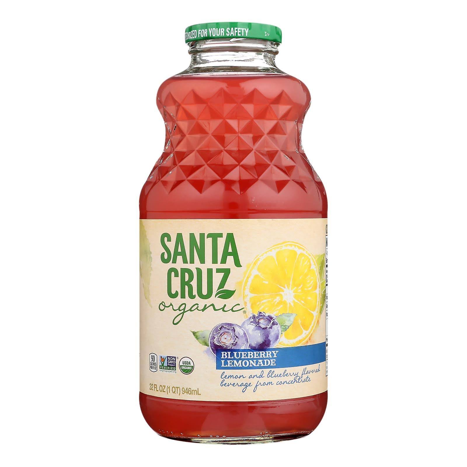 Santa Cruz Beverage, Organic, Blueberry Lemonade - 32 fl oz