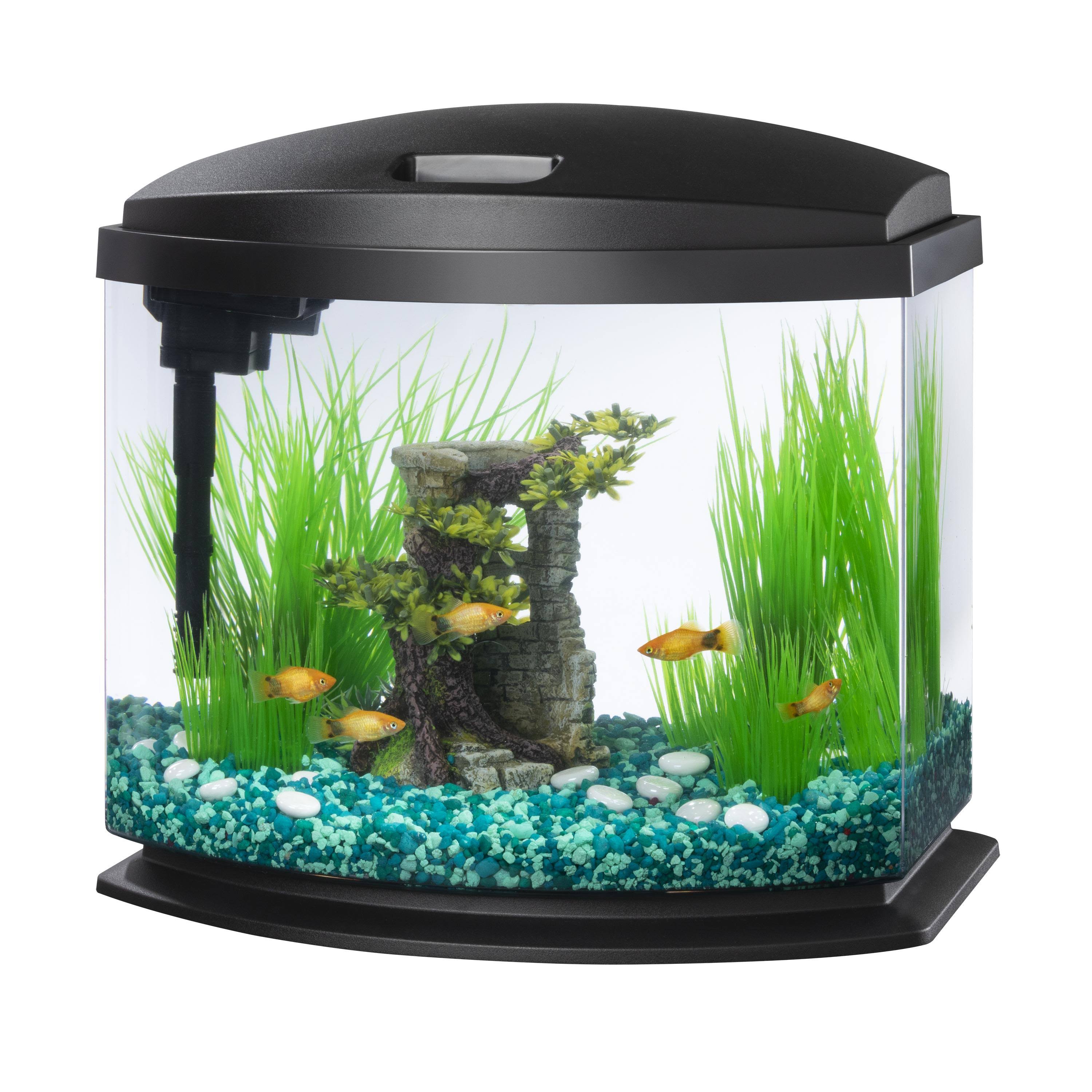 Aqueon LED MiniBow 5 SmartClean Aquarium Kit Black 5 Gallon