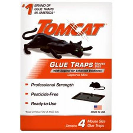Ap & G Co 254256 Mouse & Insect Glue Trap, Pack Of 6 Ap & G Co Multicolor