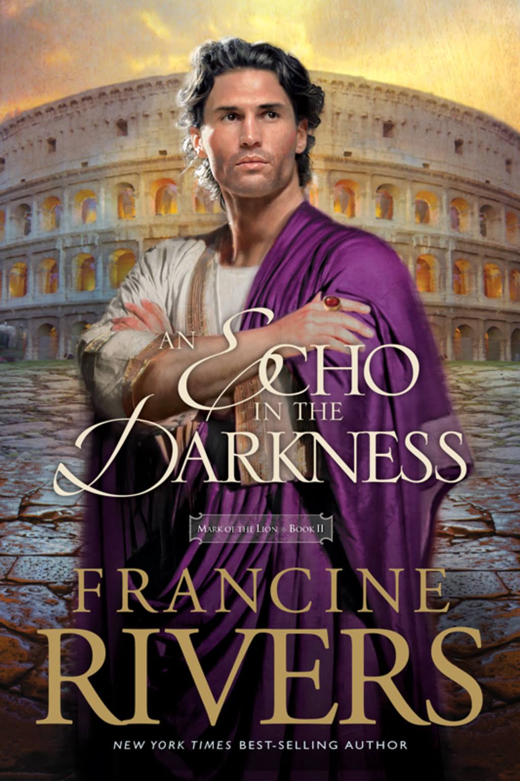 An Echo in the Darkness [Book]