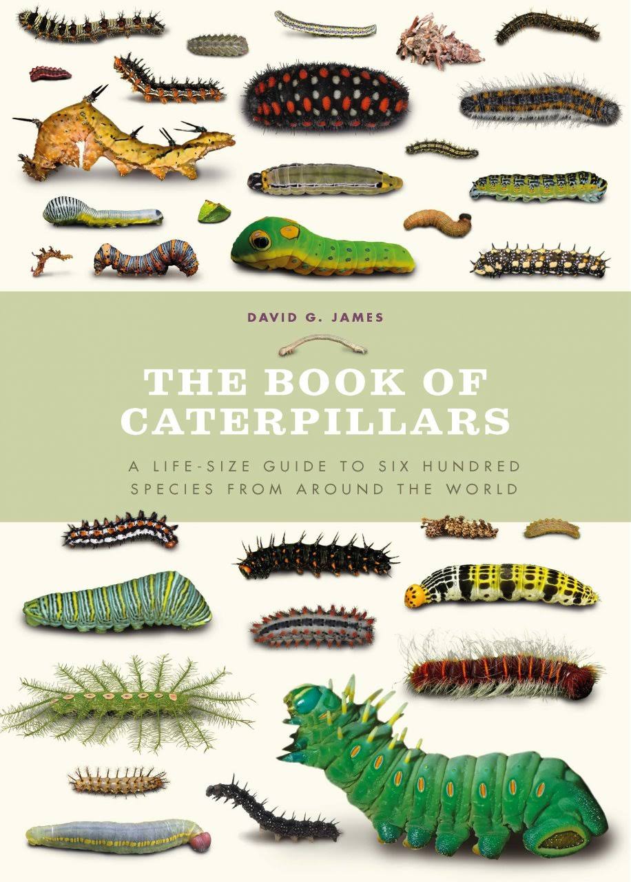 The Book of Caterpillars by David G. James