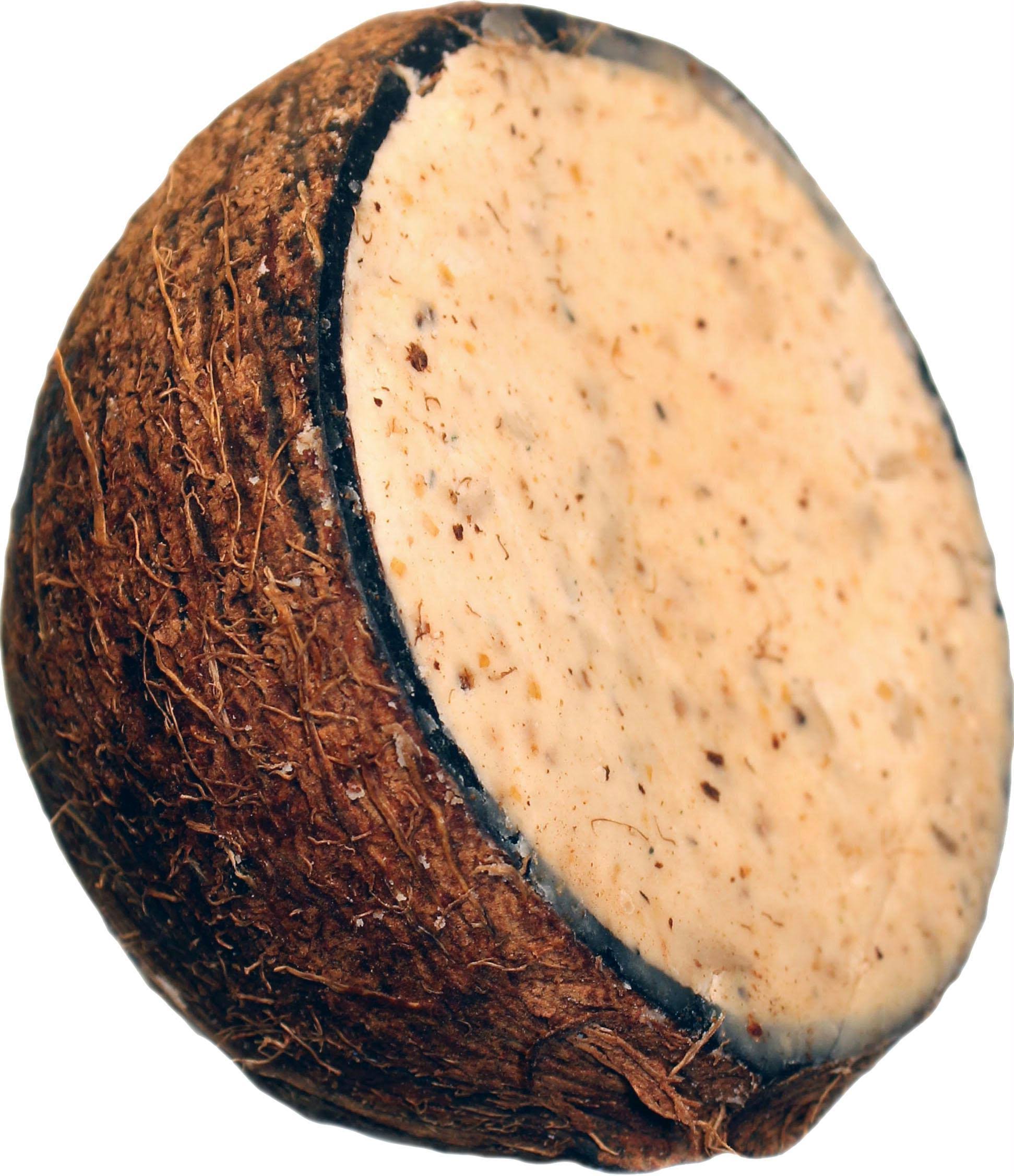 Unipet Peanut/coconut Suet to Go Mealworm 10oz