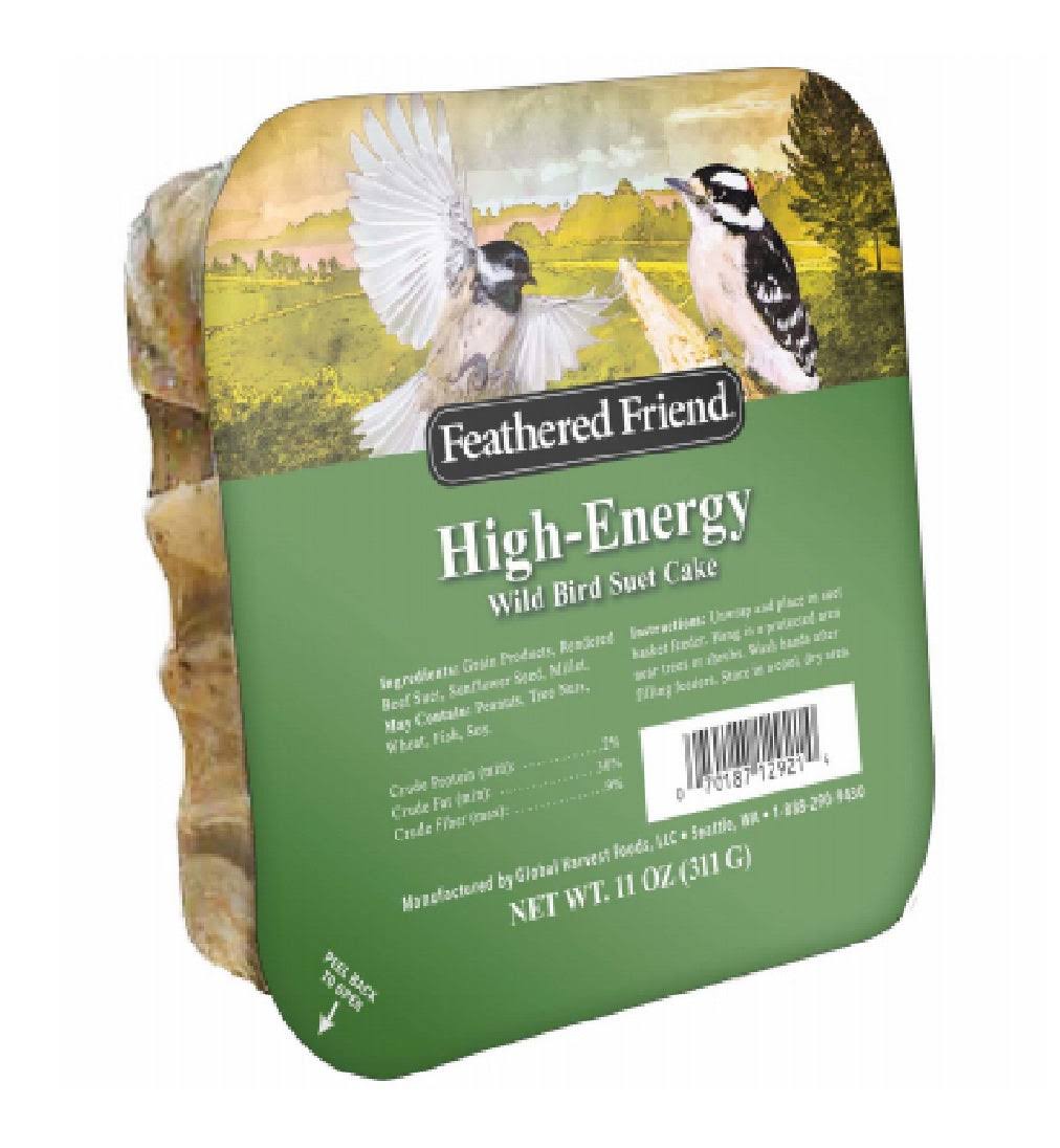 Global Harvest Foods 109805 High-Energy Wild Birds Suet Cake