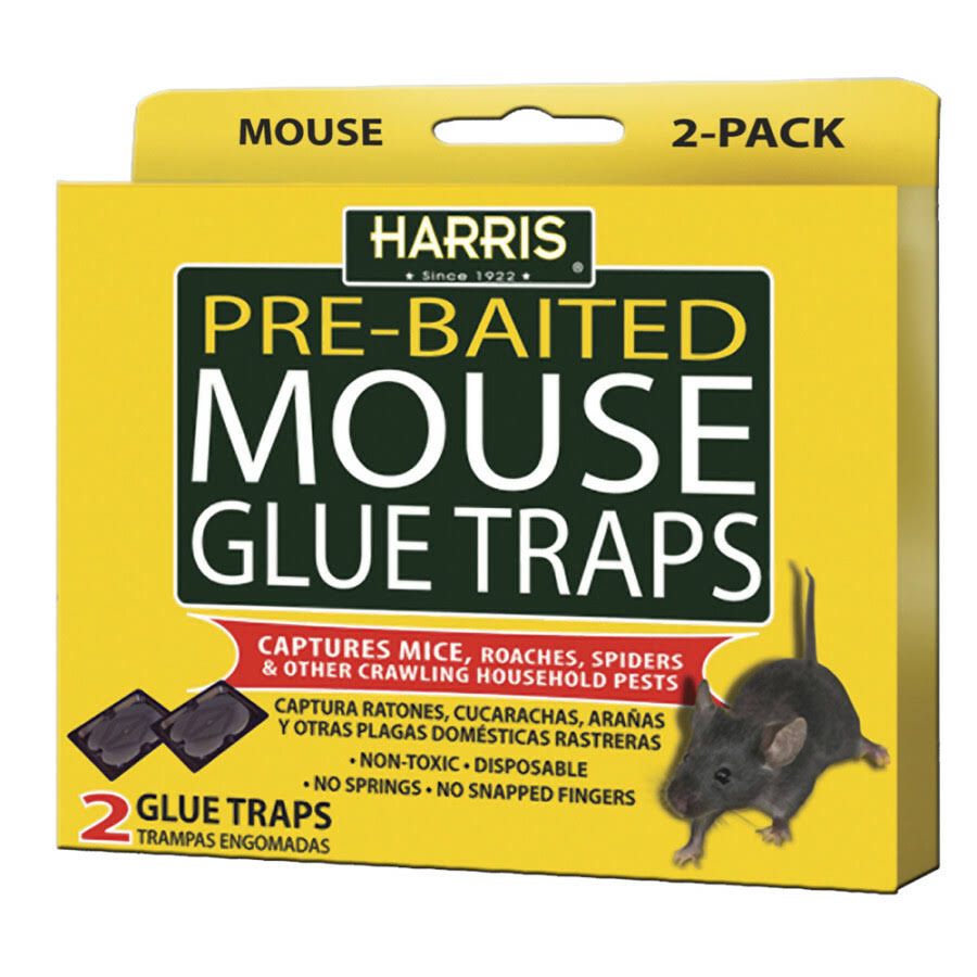 Harris Pre-Baited Mouse Glue Traps