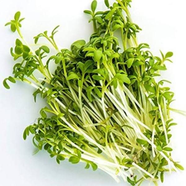 River Valley 100% Organic Alfalfa Sprouts - 5 oz
