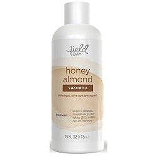 Field Day Honey almond Shampoo, 16 Fluid Ounce - 6 per Case.