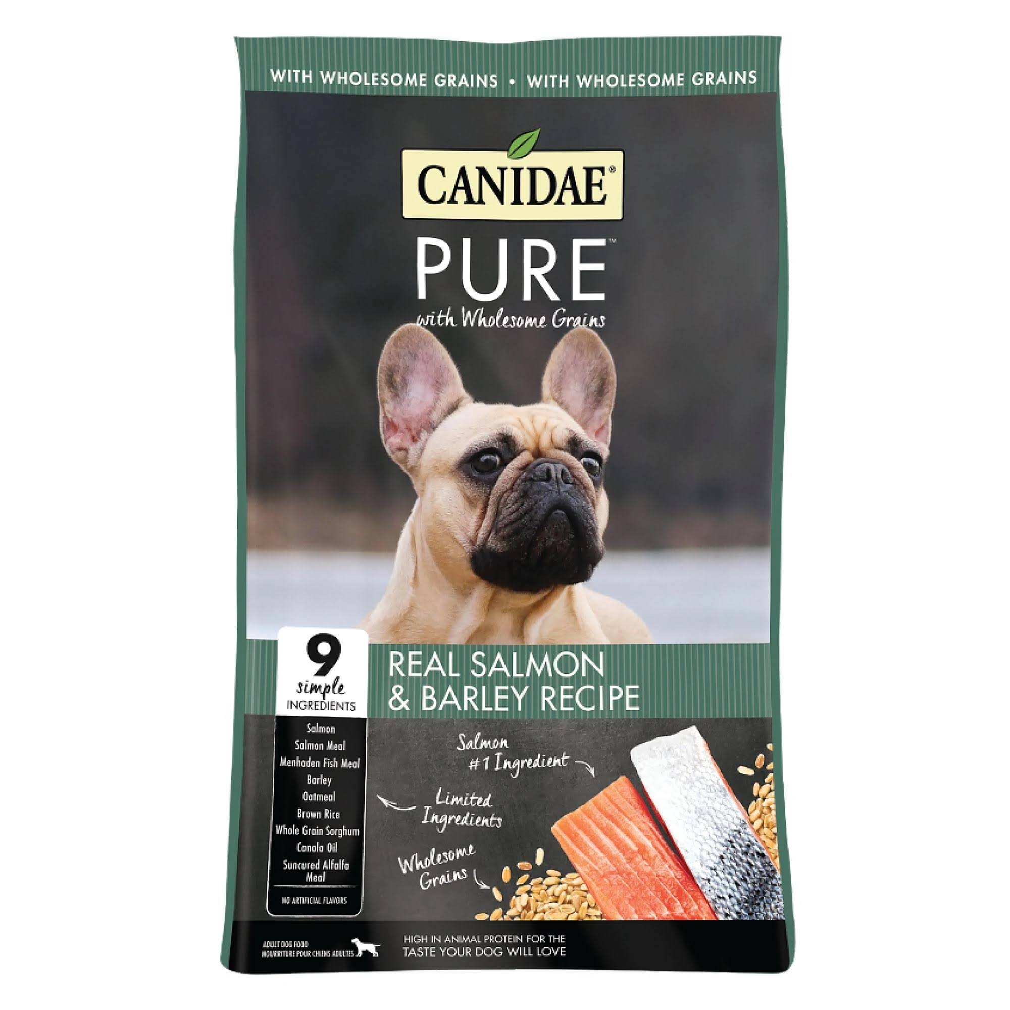 Canidae Real Salmon & Barley Recipe With Wholesome Grains Adult Dog Food - 24 lbs