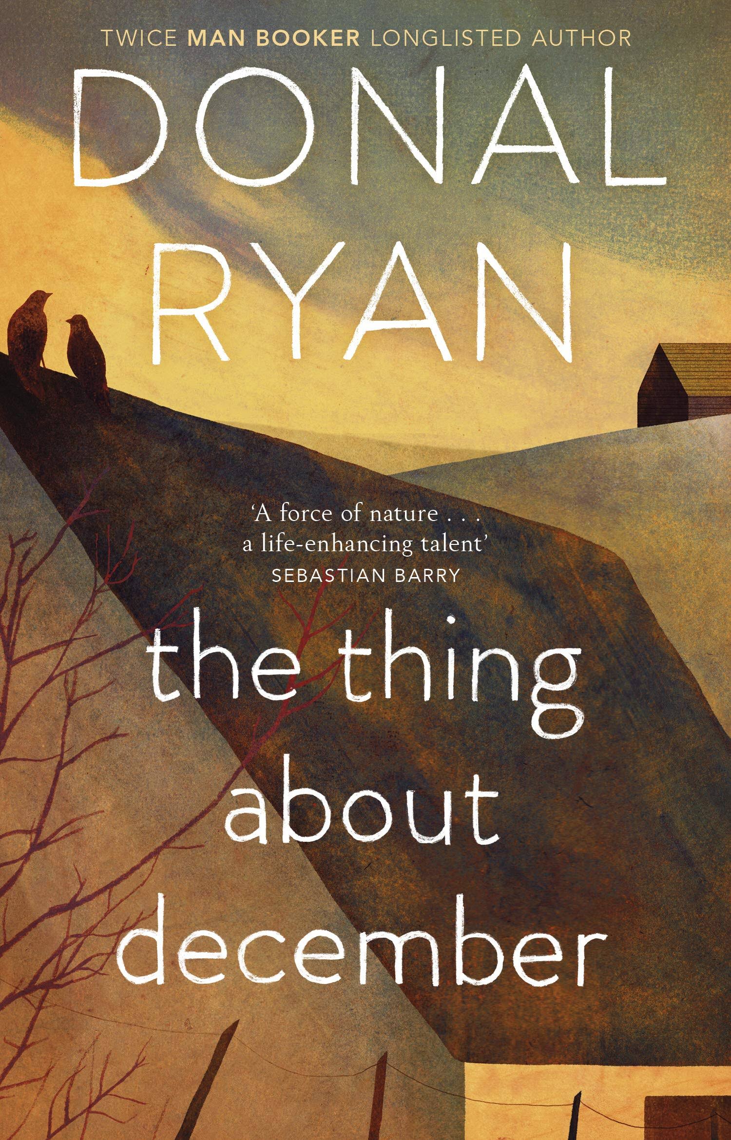The Thing About December - Donal Ryan