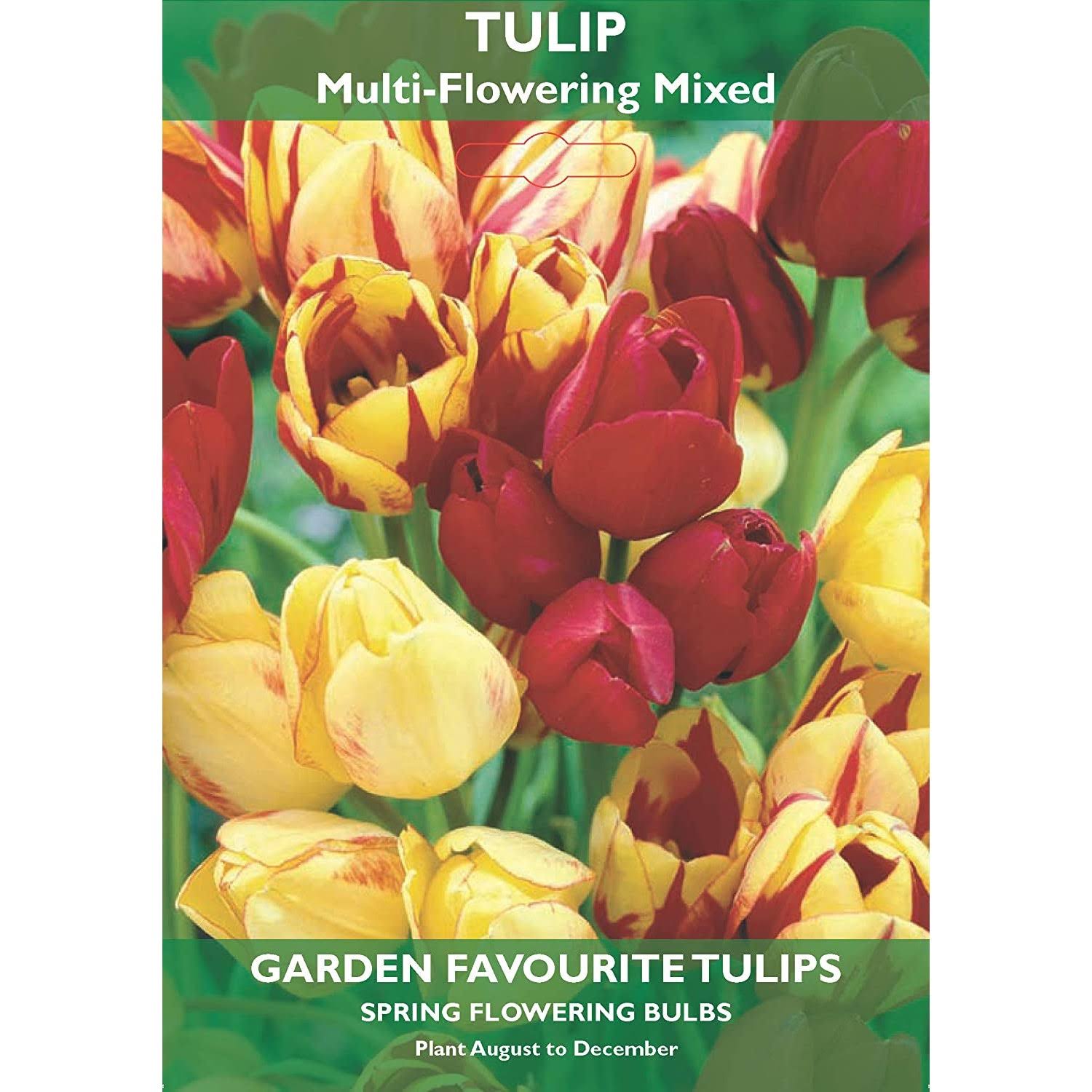 Garden Favourite Tulip Bulbs - Multi-flowering Mixed
