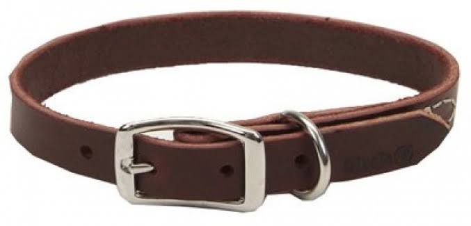 Coastal Pet Leather Dog Collar - Brown, 3/4" x 20"