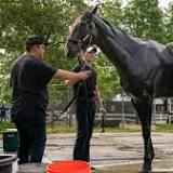 Mo or Richie will restore semi-reliability to Dispatch horse-racing desk 