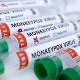 Vietnam reports its first monkeypox case