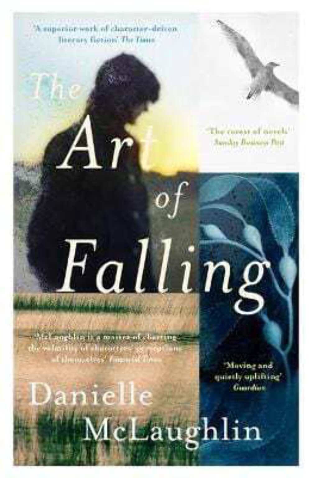 The Art of Falling [Book]