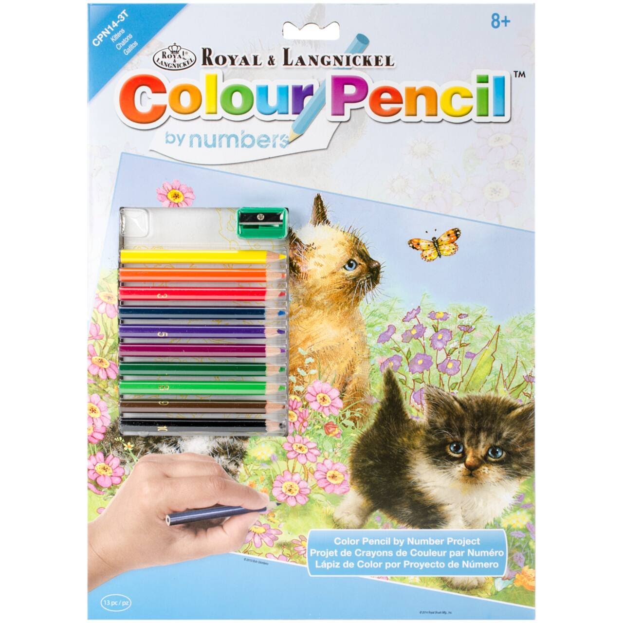 Royal Brush Color Pencil by Number Kit - Kitten, 8.75" x 11.75"