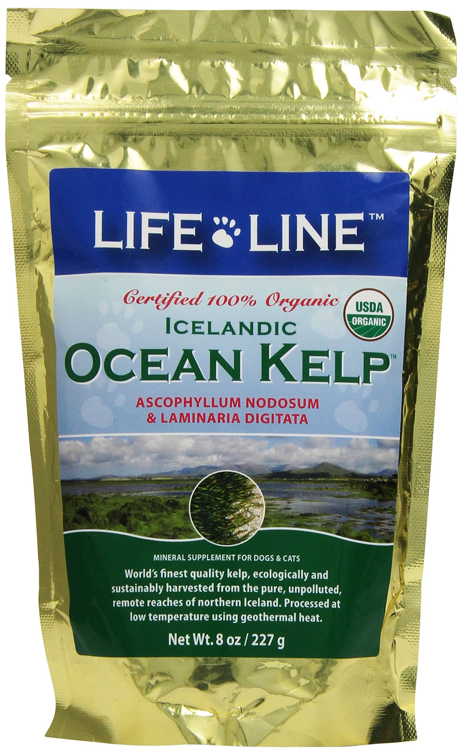 Life Line Organic Ocean Kelp Dog and Cat Supplement - 8oz