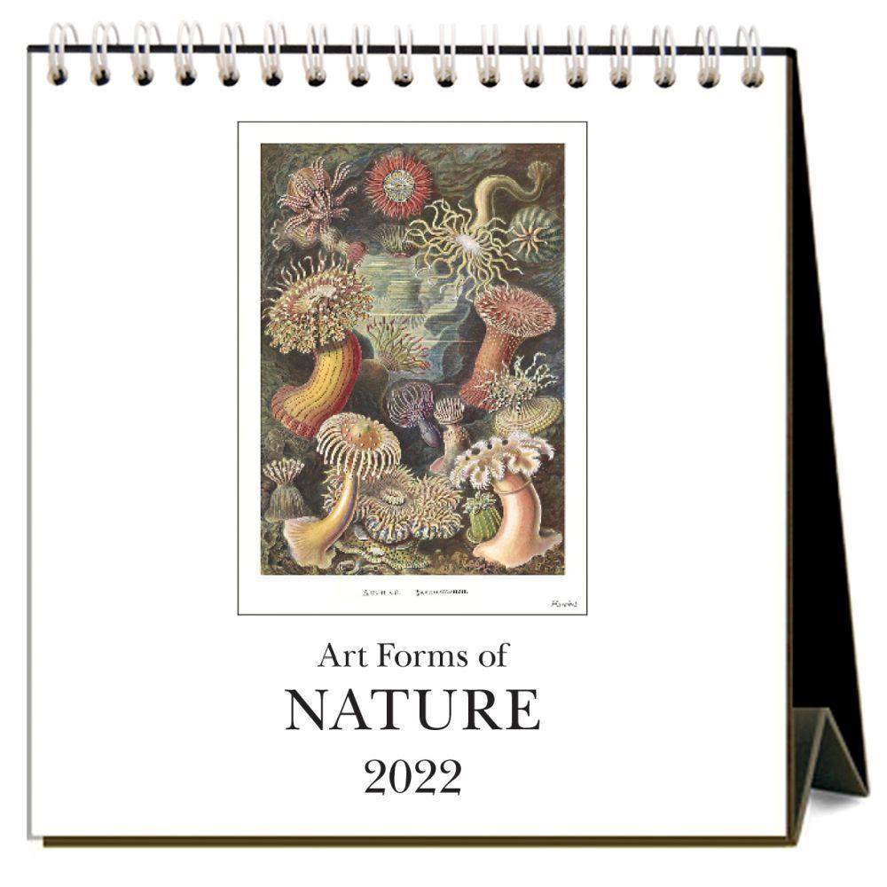 Art Forms of Nature 2022 Desk Calendar, Size: One Size