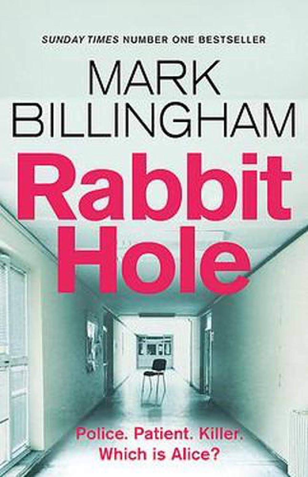 Rabbit Hole [Book]