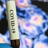 Could nasal swabs one day be a thing of the past? Coronavirus research update for July 2, 2022