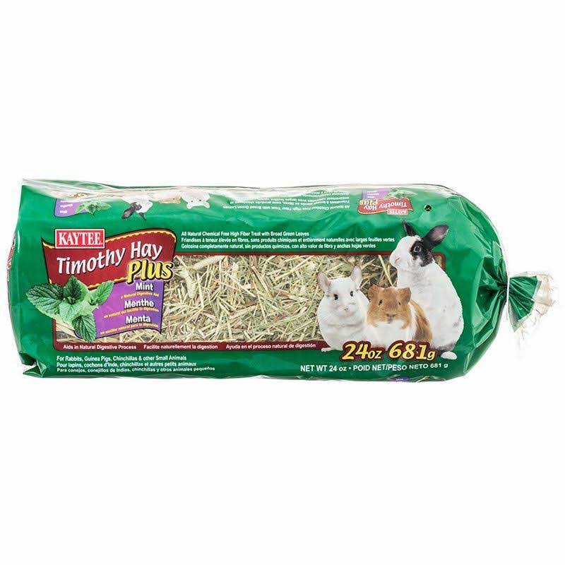 Kaytee Timothy Hay Plus Carrots Pet Treat - 24oz