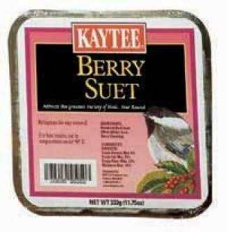 Kaytee Wild Berry High Energy Suet - 11.75 oz