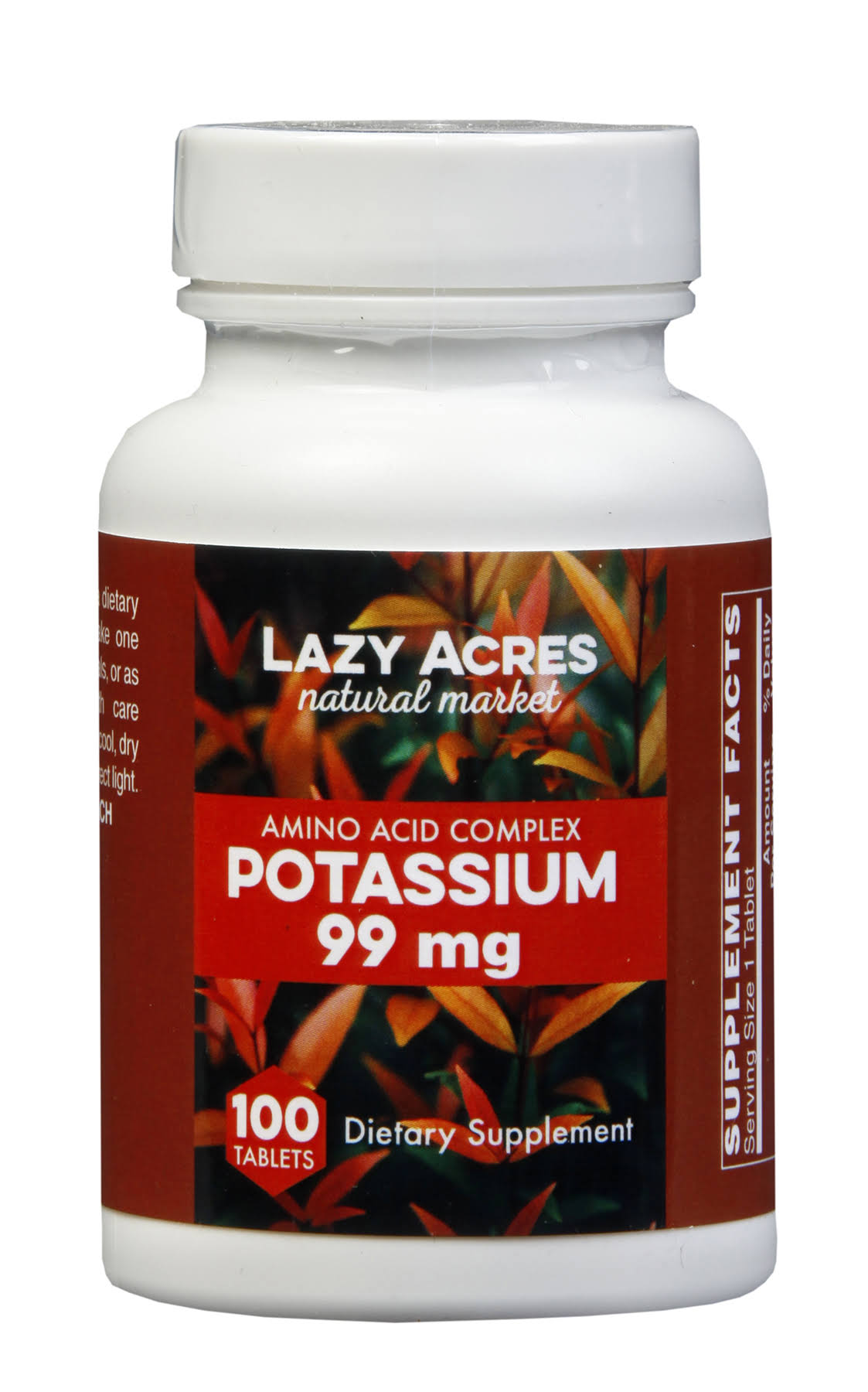 Holly Hill Health Foods, Potassium 99 mg, 100 Tablets