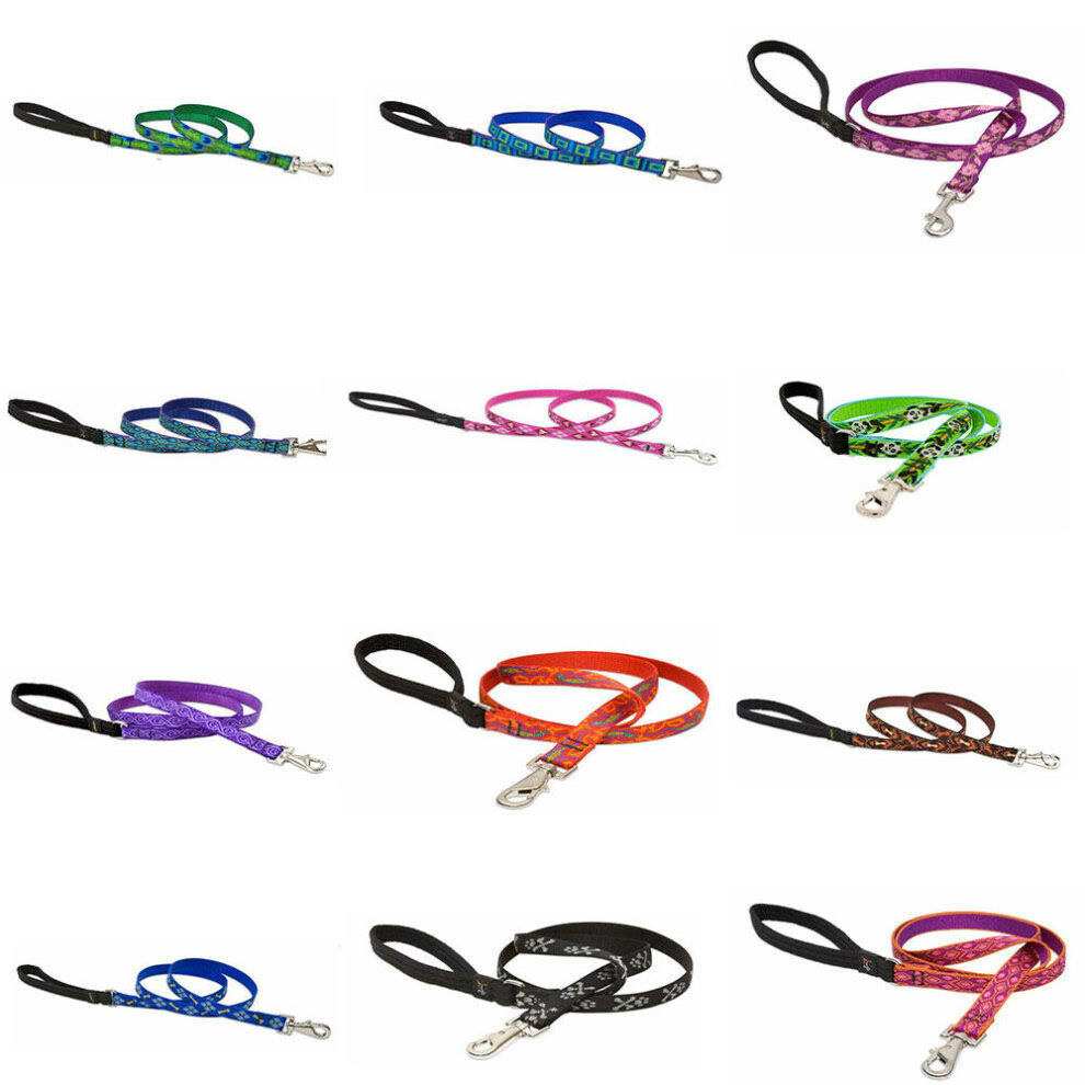 Lupine Puppy Love Dog Leash - 1/2in x 6ft