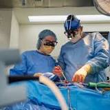 Doctors transplant pig hearts into 2 brain-dead patients