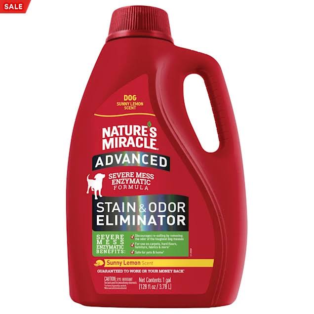 Nature's Miracle Advanced Stain & Odor Eliminator for Dogs 1 Gal